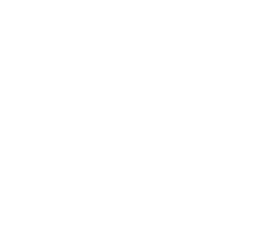 AV VIZ Studio